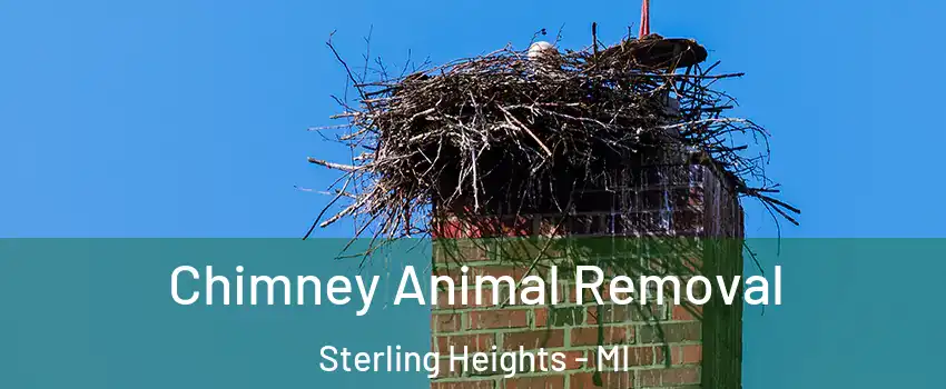 Chimney Animal Removal Sterling Heights - MI