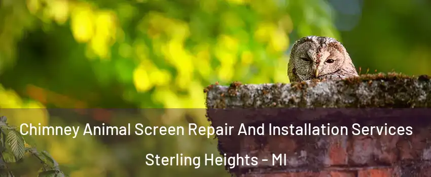 Chimney Animal Screen Repair And Installation Services Sterling Heights - MI