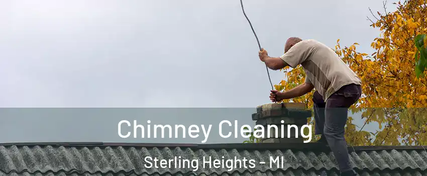 Chimney Cleaning Sterling Heights - MI