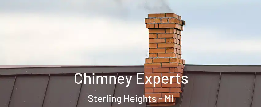 Chimney Experts Sterling Heights - MI