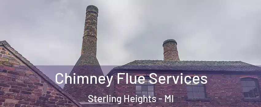 Chimney Flue Services Sterling Heights - MI