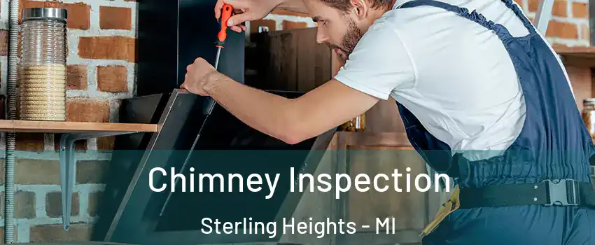 Chimney Inspection Sterling Heights - MI