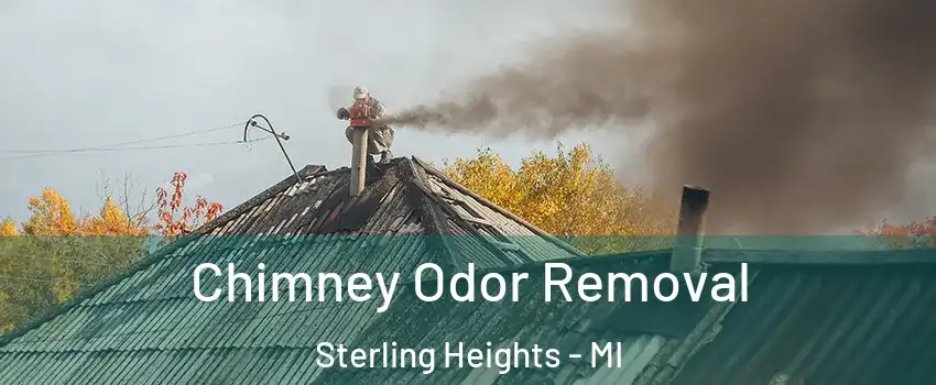 Chimney Odor Removal Sterling Heights - MI