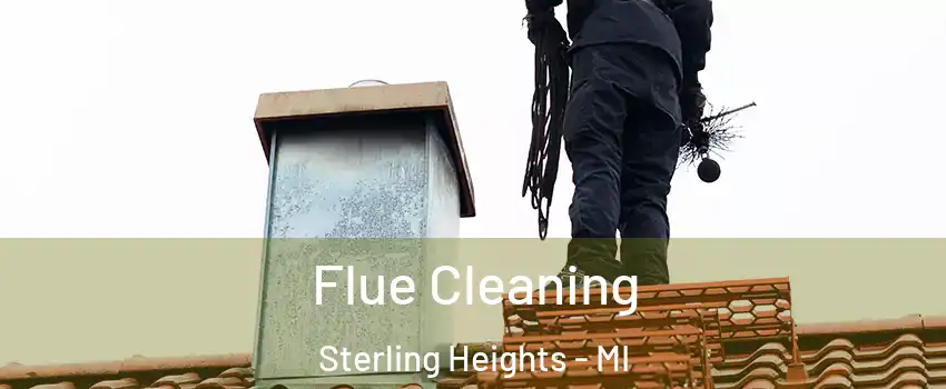 Flue Cleaning Sterling Heights - MI