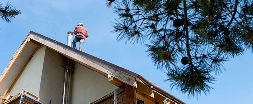 Birds Removal Contractors from Chimney in Sterling Heights, MI